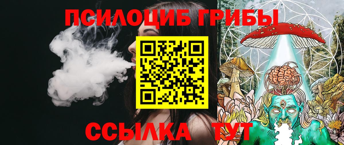 Волгодонск  Галлюциногенные грибы мицелий  Вход с VPN  Галлюциногенные грибы Psilocybe 