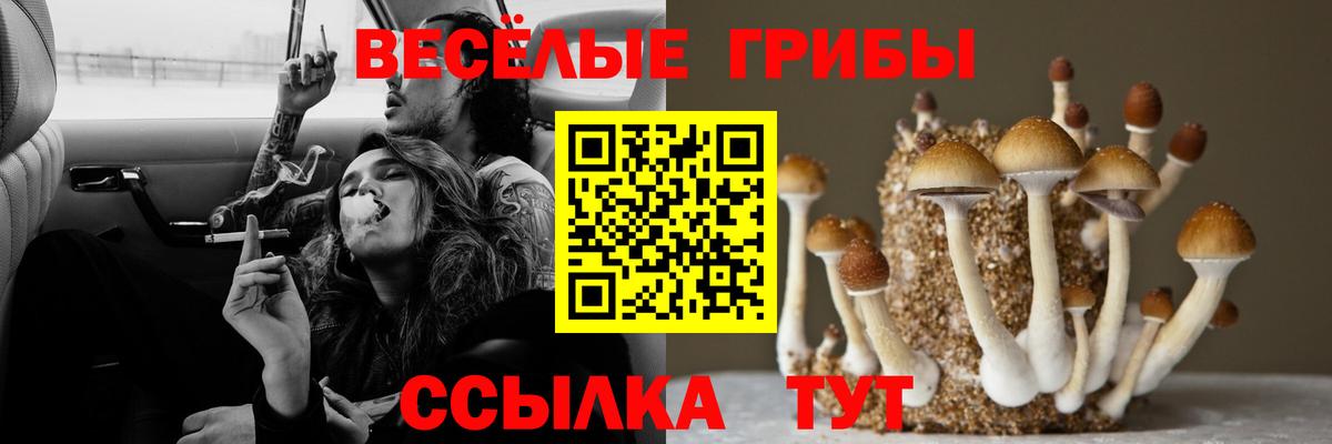 Галлюциногенные грибы прущие грибы Волгодонск